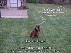 The Job Super