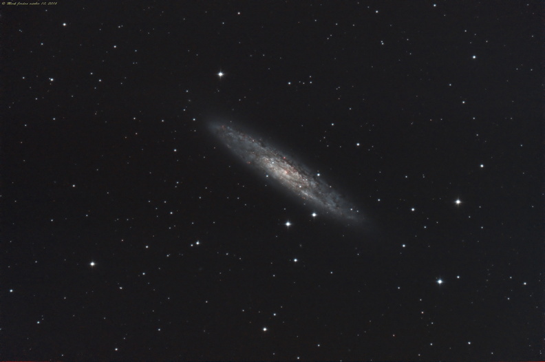 Caldwell 65, The Sculptor Galaxy (NGC 253)