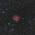 IC5146 The Cocoon Nebula (Caldwell 19)