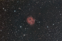 IC 5146, Caldwell 19: The Cocoon Nebula