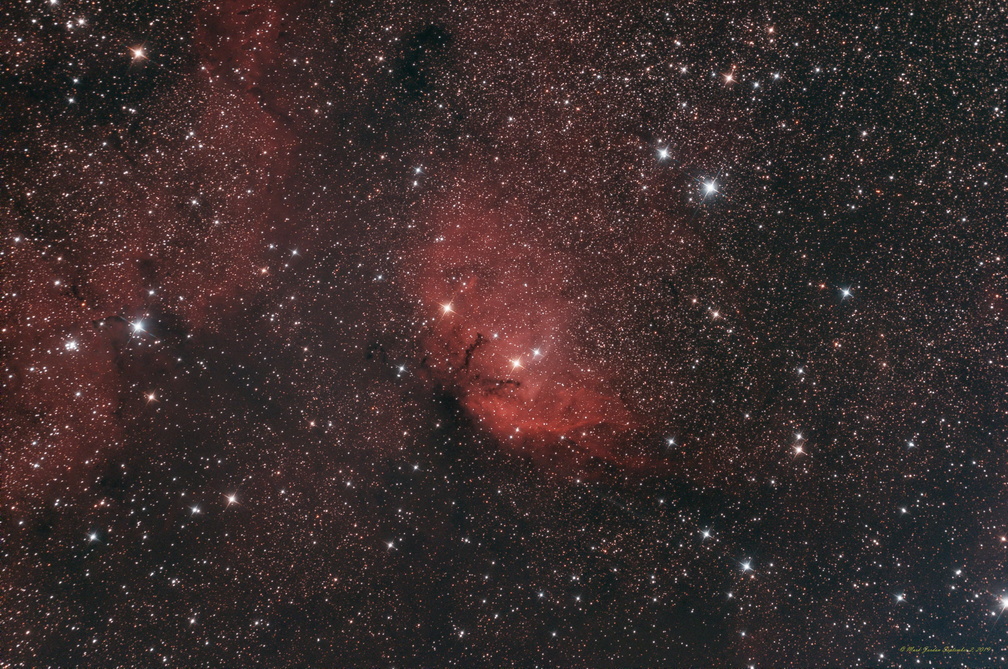 SH2-101 The Tulip Nebula