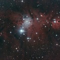 NGC2264 The Christmas Tree and Cone Nebula