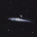 NGC4631 (The Wale Galaxy)