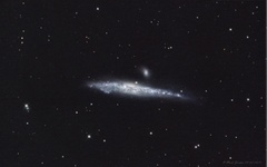 NGC4631 (The Wale Galaxy)