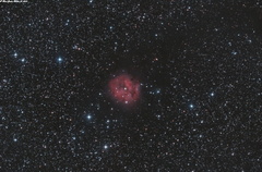 IC5146 The Cocoon Nebula (Caldwell 19)