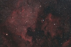 North American &amp; Pelican Nebulae (NGC7000 and IC5070)