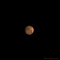 Mars_11032020_OSC_462c.jpg